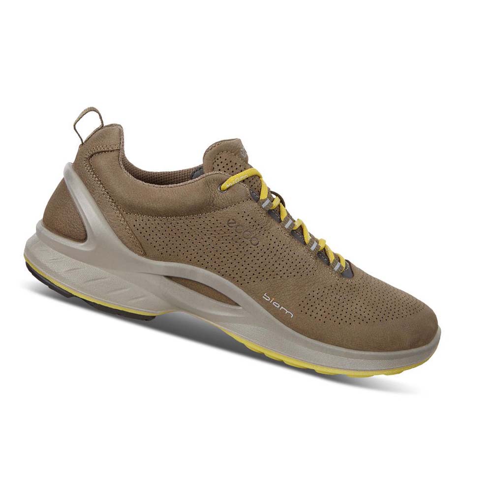 Ecco Mens Biom Fjuel Perf Hiking & Trail Herre Brune | NO 568JPQ